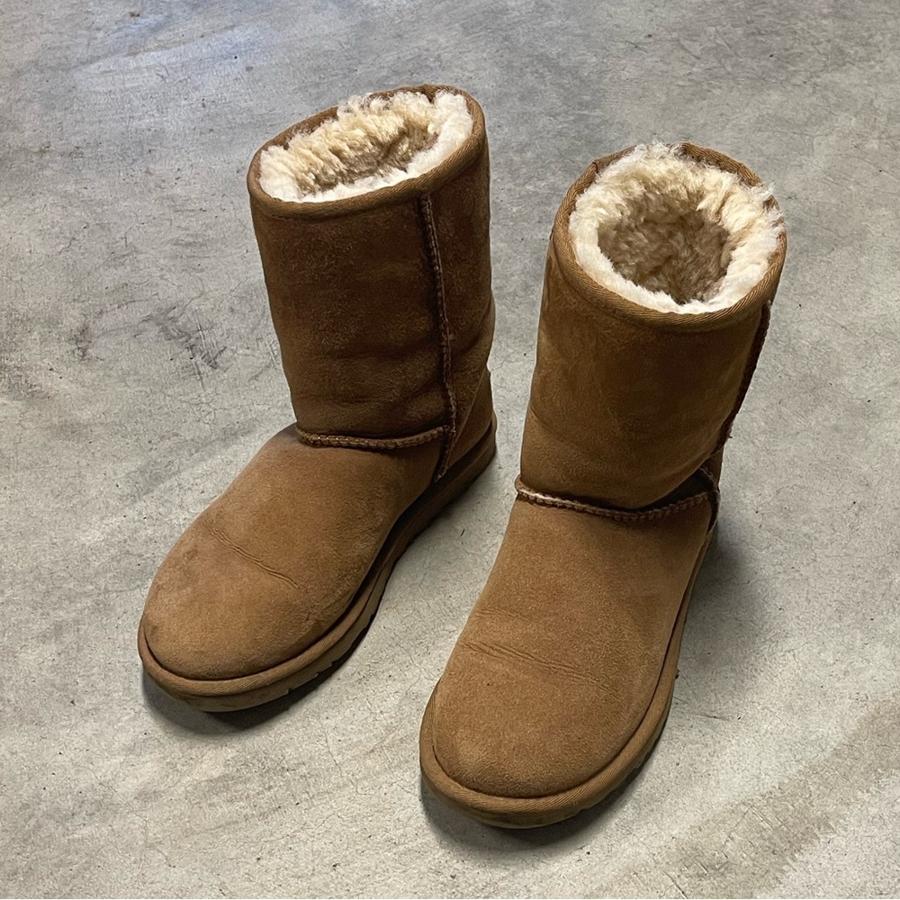 Uggs in Chestnut